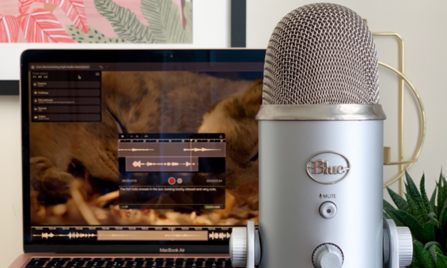 Zille Media Introduces Innovative Audio Description Editor to Enhance Media Accessibility