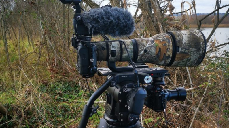 The importance of an accurate Fluid Head for Wildlife shooting: Maxima 30 in WWF Oasis by Cartoni